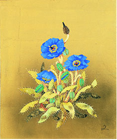 堀文子《幻の花 ブルーポピー》2001年
